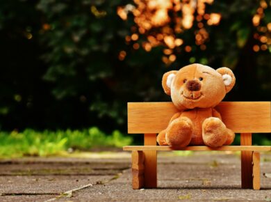 brown teddy bear on brown wooden bench outside